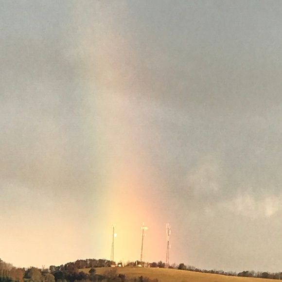 Meet your Posher, Grace - Picture 1 of 1